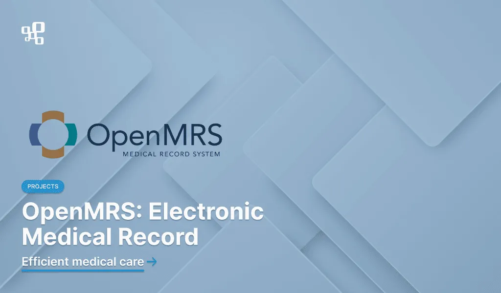 Healthcare Information System Implementation